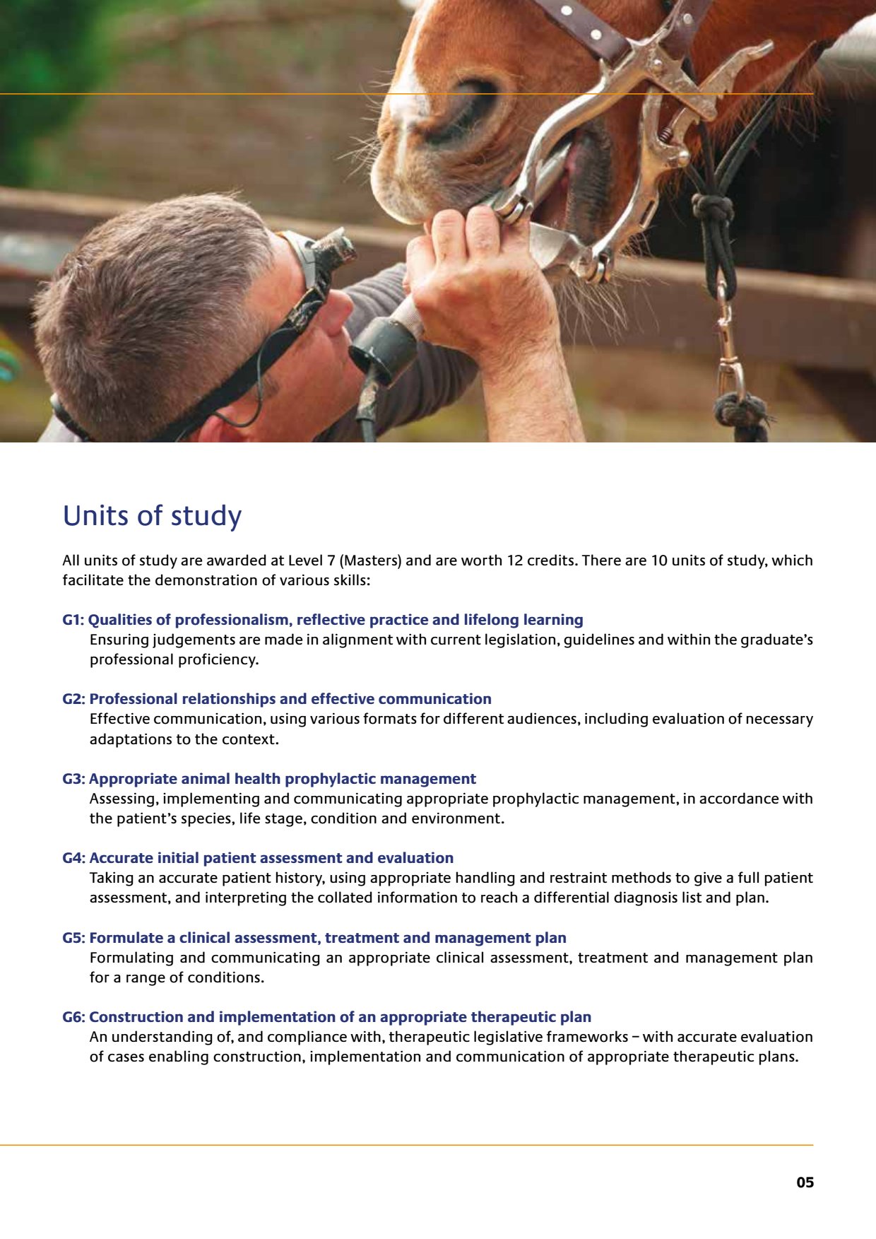 Qualities professionalism reflective